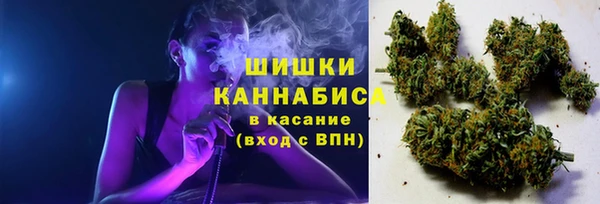 крисы Лабытнанги