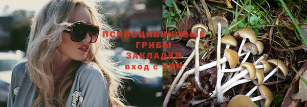 крисы Лабытнанги