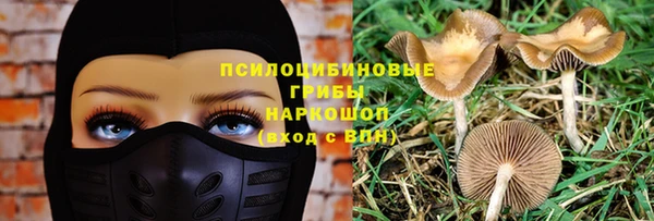 крисы Лабытнанги