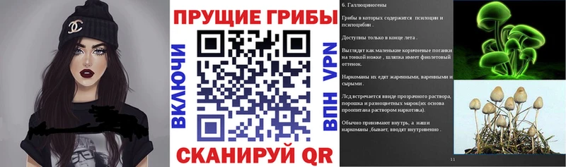 Купить  Белая Калитва  Псилоцибиновые грибы прущие грибы 